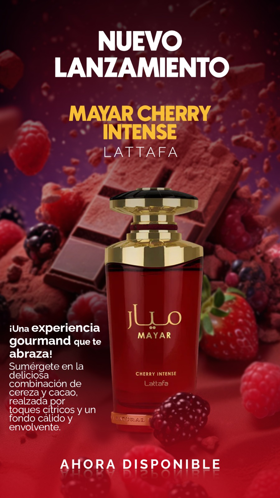 Nuevo lanzamiento 11